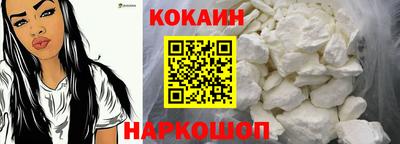 mdpv Гатчина
