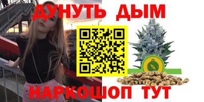 mdpv Гатчина
