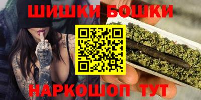 mdpv Гатчина