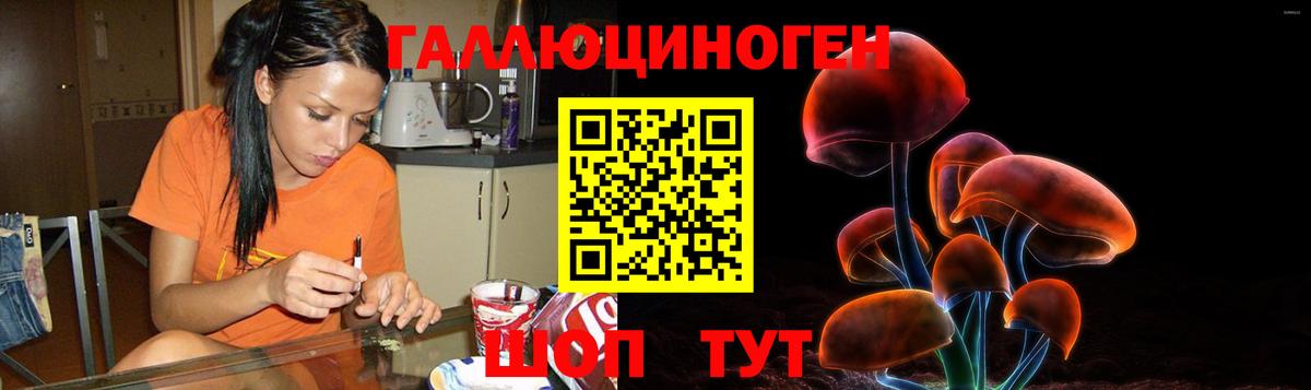 Изобильный  Галлюциногенные грибы GOLDEN TEACHER  Вход с VPN 